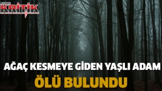 Ağaç kesmeye giden yaşlı adam ölü bulundu