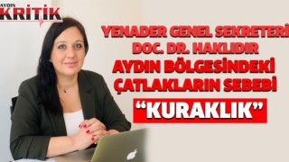 YENADER Genel Sekreteri Doç. Dr. Haklıdır: Aydın bölgesindeki çatlakların sebebi kuraklık