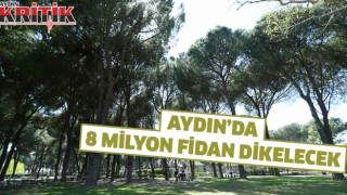 Aydın’da 8 milyon fidan dikilecek