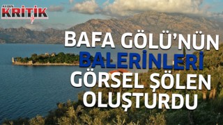 Bafa Gölü’nün balerinleri, görsel şölen oluşturdu