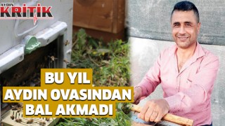 Bu yıl Aydın ovasından bal akmadı