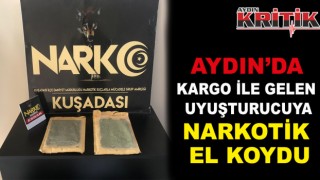 Aydın'da kargo ile gelen uyuşturucuya narkotik el koydu