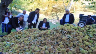 Kestanede sezon finalini Kaymakam yaptı