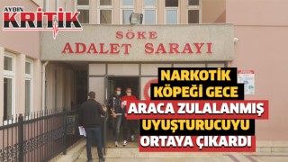 Narkotik köpeği gece, araca zulalanmış uyuşturucuyu ortaya çıkardı