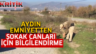 Sokak canları için restoran ve iş yerleri bilgilendirildi