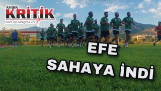 Efe sahaya indi