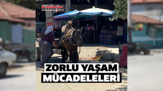 Acarlar'da at arabacılarının zorlu yaşam mücadelesi sürüyor