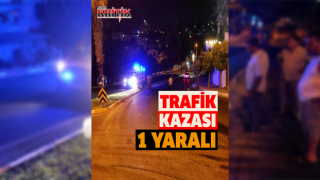 Aydın'da trafik kazası: 1 yaralı
