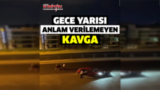 Aynı araçtan inip birbirlerini yoldular, daha sonra aynı araçla yollarına devam ettiler