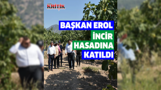 Başkan Erol, incir hasadına katıldı