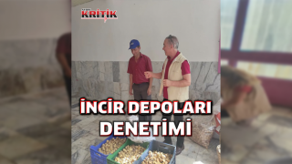 Efeler’de incir depoları denetimi başladı