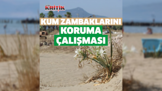 EKODOSD, kum zambaklarının korunması için çalışma başlattı