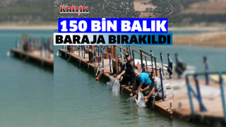 Kemer Barajı’na 150 bin balık bırakıldı