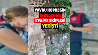 Kuyuya düşen yavru köpeğin imdadına itfaiye ekipleri yetişti