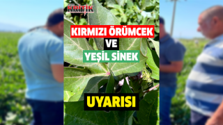 Söke İlçe Tarım’dan, kırmızı örümcek ve yeşil sinek uyarısı