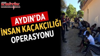 Aydın'da insan kaçakçılığı operasyonu