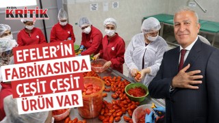 Efeler'in fabrikasında çeşit çeşit ürün var