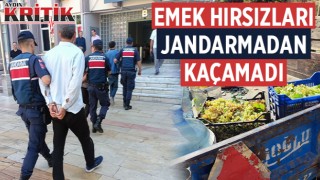 Emek hırsızları Jandarmadan kaçamadı