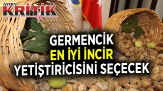 Germencik En İyi İncir Yetiştiricisini Seçecek