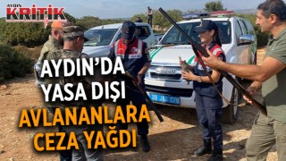 Aydın'da yasa dışı avlananlara ceza yağdı