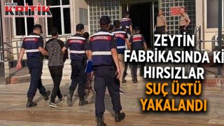 Zeytin fabrikasında ki hırsızlar suçüstü yakalandı