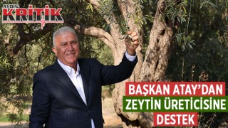 Başkan Atay'dan zeytin üreticisine destek