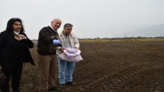 Başkan Tuncel buğday ekimini yerinde inceledi