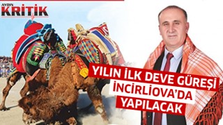 Yeni yılın ilk deve güreşi İncirliova’da yapılacak