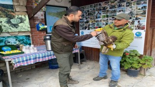 Gökyüzünün efendisi, yaralı halde bulundu