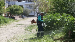 Efeler’in ekiplerinden bahar temizliği