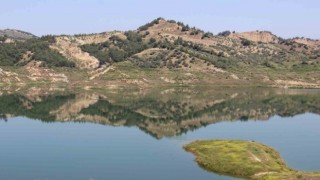 Aydın’da bahar yağmurları sevindirdi, barajlardaki su seviyesi yükselmeye devam ediyor