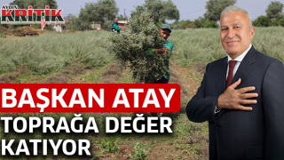 Başkan Atay, toprağa değer katıyor