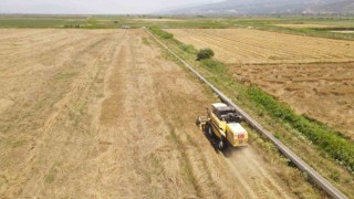 Efeler Belediyesi’nden buğday hasadı