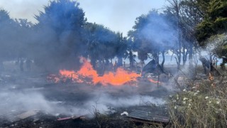 Kuşadası’nda denize 50 metre uzaklıktaki arazi yangınında sabotaj iddiası