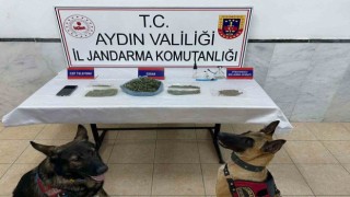 Aydın'da uyuşturucu operasyonu: 22 yakalama