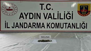 Jandarma uyuşturucuya geçit vermiyor