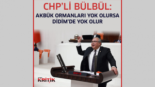 CHP''li Bülbül: 'Akbük ormanları yok olursa Didim'de yok olur'