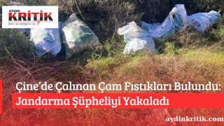 Çine’de Çalınan Çam Fıstıkları Bulundu: Jandarma Şüpheliyi Yakaladı
