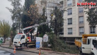 Efeler Belediyesi Olası Risklerin Önüne Geçiyor