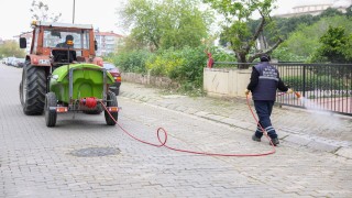 EFELER BELEDİYESİ HALK SAĞLIĞI VE KENT ESTETİĞİ İÇİN ÇALIŞMALARINI SÜRDÜRÜYOR