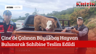Çine’de Çalınan Büyükbaş Hayvan Bulunarak Sahibine Teslim Edildi