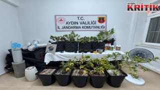 Kuşadası’nda şaşkına çeviren düzenek: Evde skunk yetiştirdi