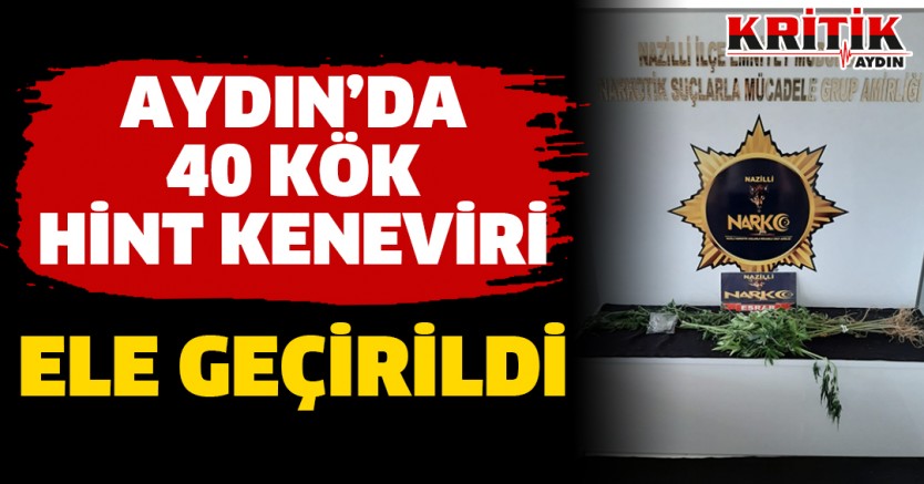 Aydın'da 40 Kök Hint Keneviri Ele Geçirildi