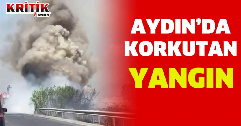 Aydın'da Korkutan Yangın