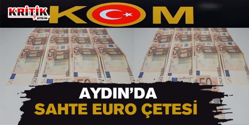 Aydın'da sahte euro çetesi