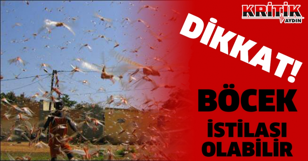 Dikkat! Böcek İstilası Olabilir