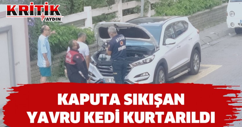 Kaputa Sıkışan Yavru Kedi Kurtarıldı