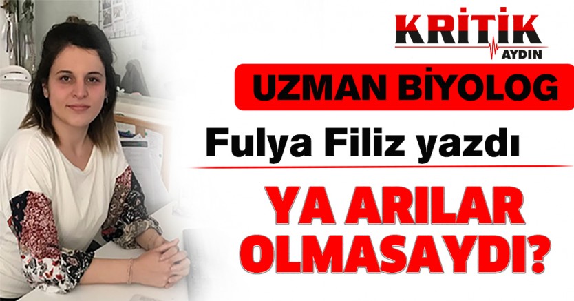 YA ARILAR OLMASAYDI?