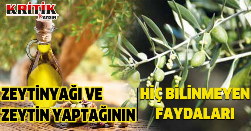 Zeytinyağı ve zeytin yaprağının hiç bilinmeyen faydaları